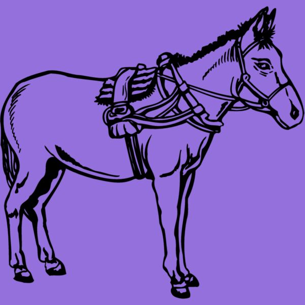 BURRO007 Thumbnail