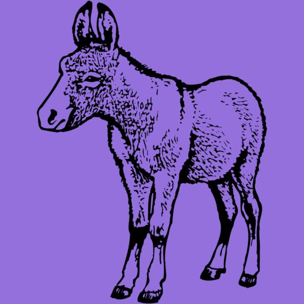 BURRO009 Thumbnail