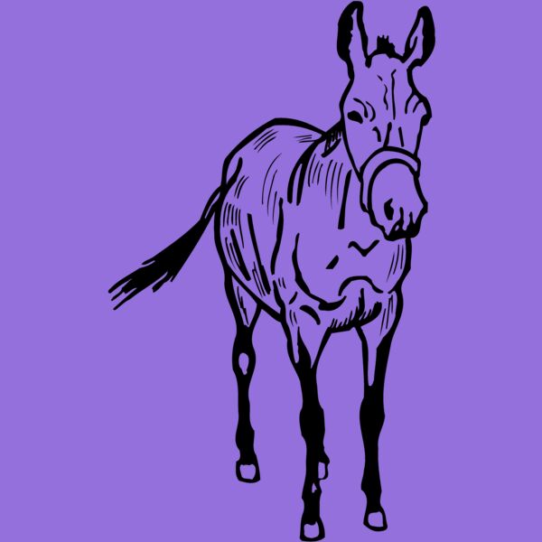 BURRO010 Thumbnail