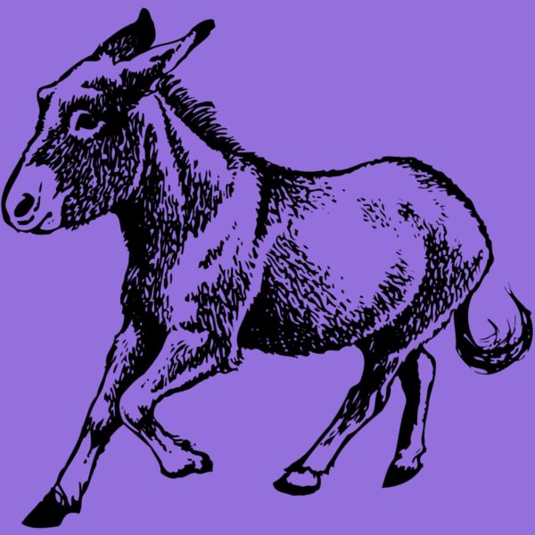 BURRO011 Thumbnail