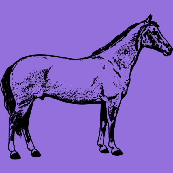 HORSE020 Thumbnail
