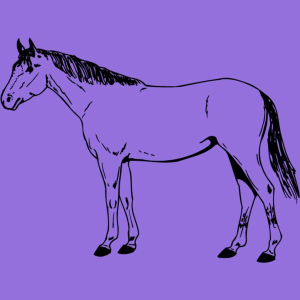 HORSE024 Thumbnail