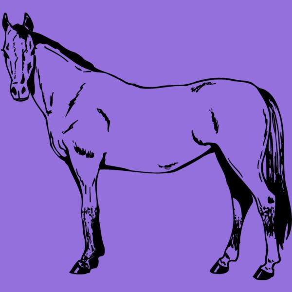 HORSE025 Thumbnail