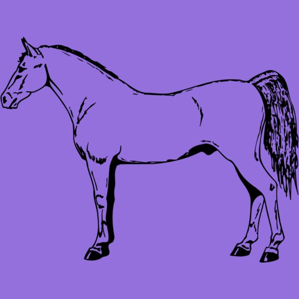 HORSE026 Thumbnail