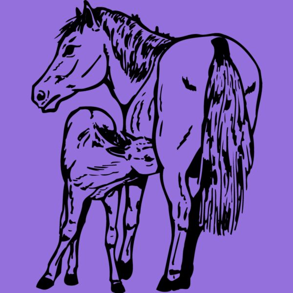 HORSE036 Thumbnail