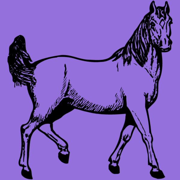 HORSE041 Thumbnail