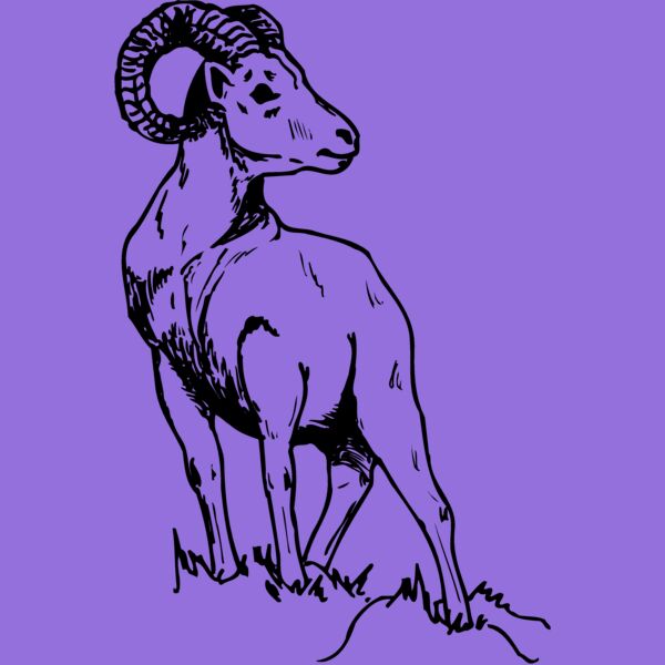 RAM008 Thumbnail