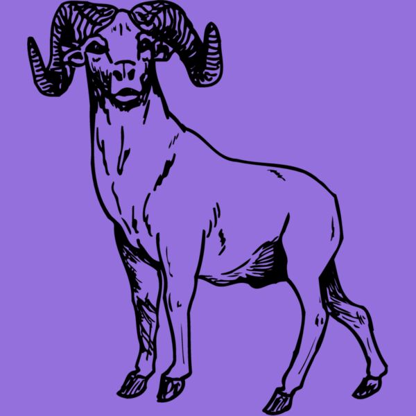 RAM009 Thumbnail