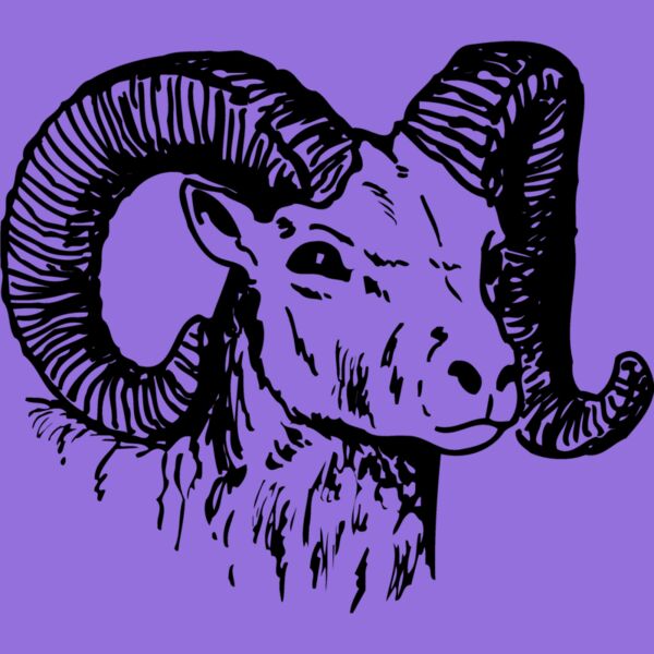 RAM010 Thumbnail