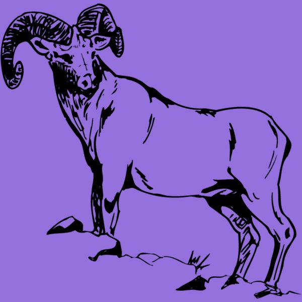 RAM013 Thumbnail