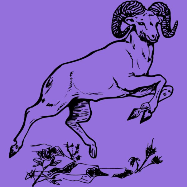 RAM014 Thumbnail