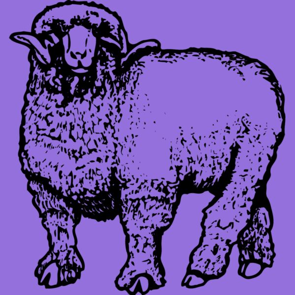 SHEEP001 Thumbnail