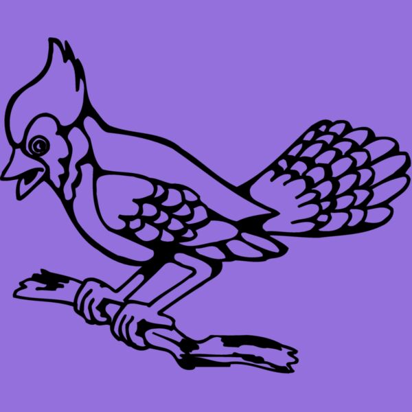 BIRD035 Thumbnail
