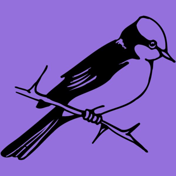 BIRD040 Thumbnail