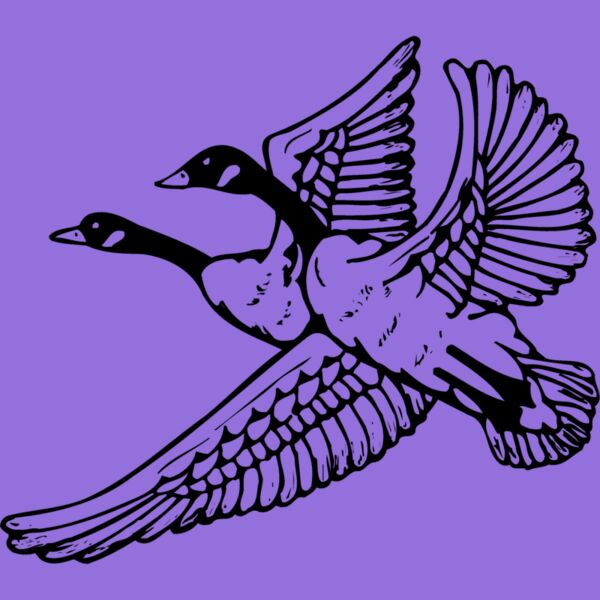 BIRD077 Thumbnail
