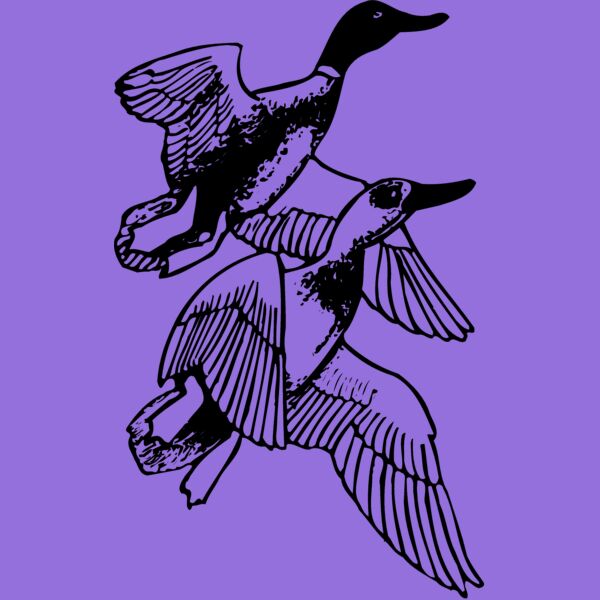 BIRD078 Thumbnail