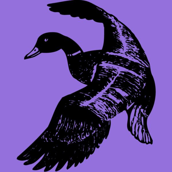 BIRD081 Thumbnail