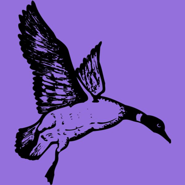 BIRD082 Thumbnail