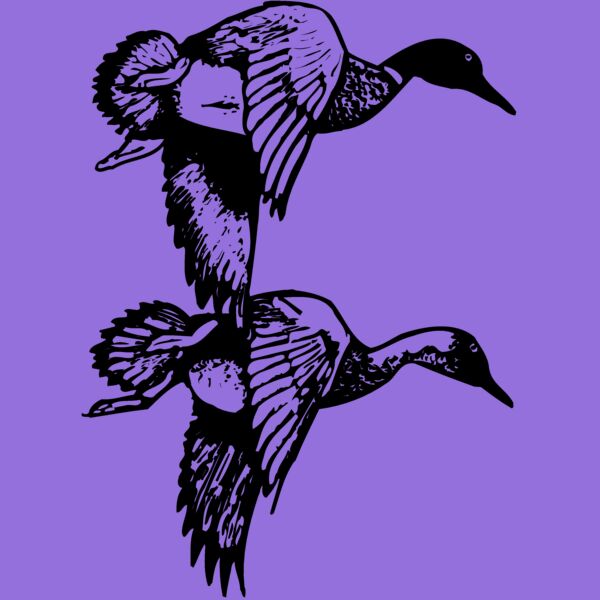 BIRD084 Thumbnail