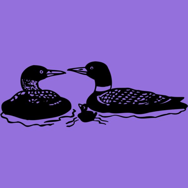 BIRD085 Thumbnail