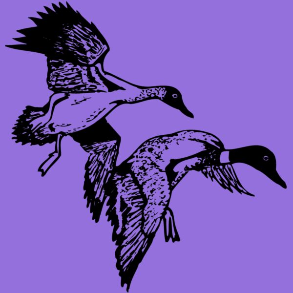 BIRD088 Thumbnail
