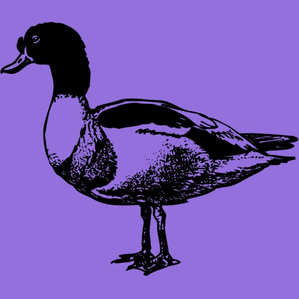 BIRD090 Thumbnail