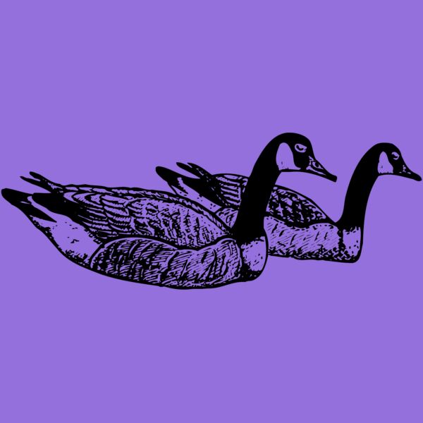 BIRD100 Thumbnail
