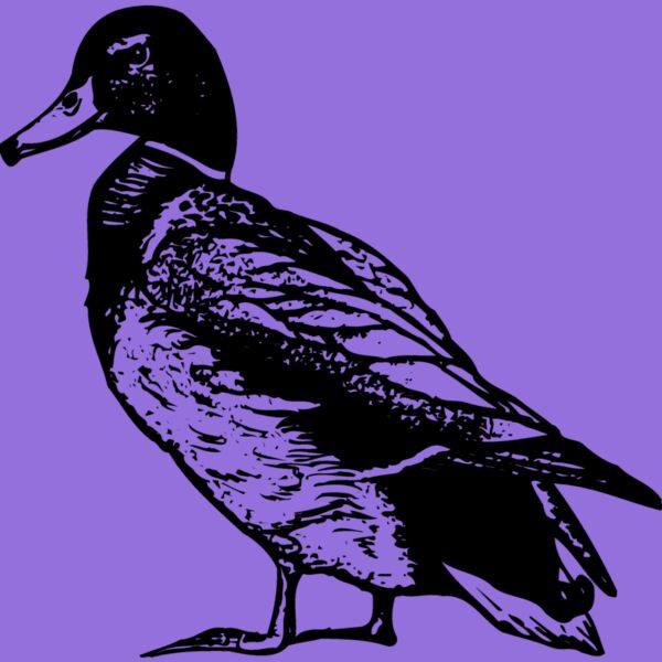 BIRD101 Thumbnail