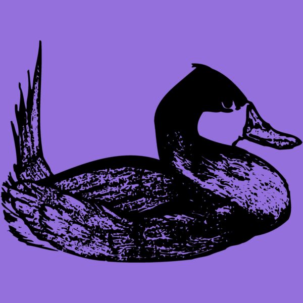 BIRD102 Thumbnail