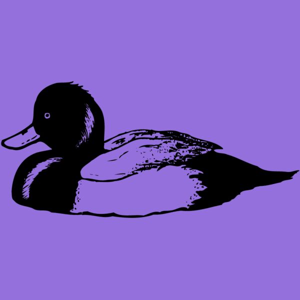 BIRD103 Thumbnail