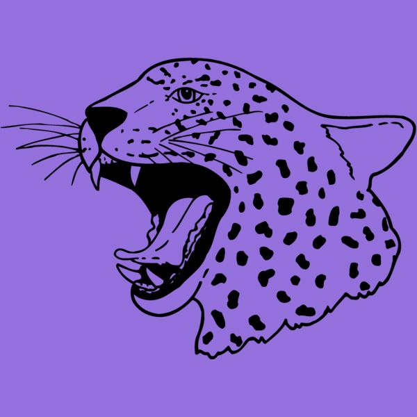 CAT13 Thumbnail