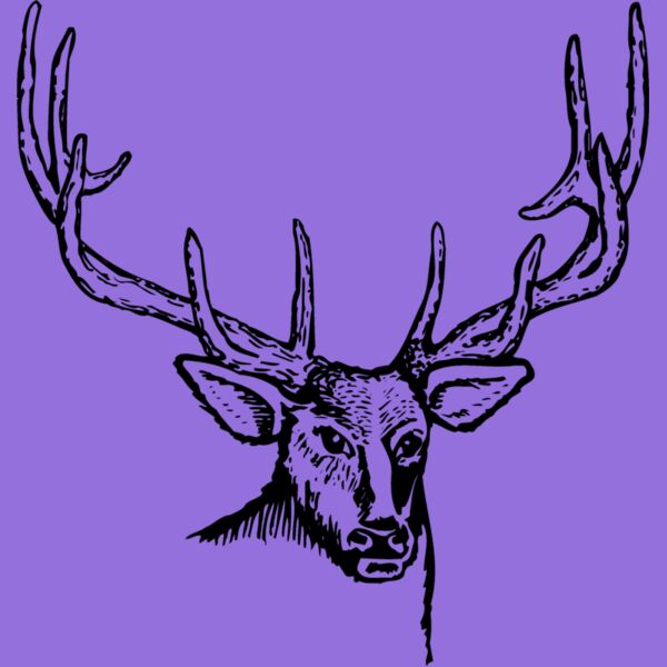 DEER007 Thumbnail