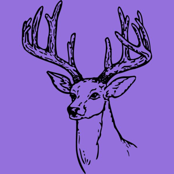 DEER009 Thumbnail