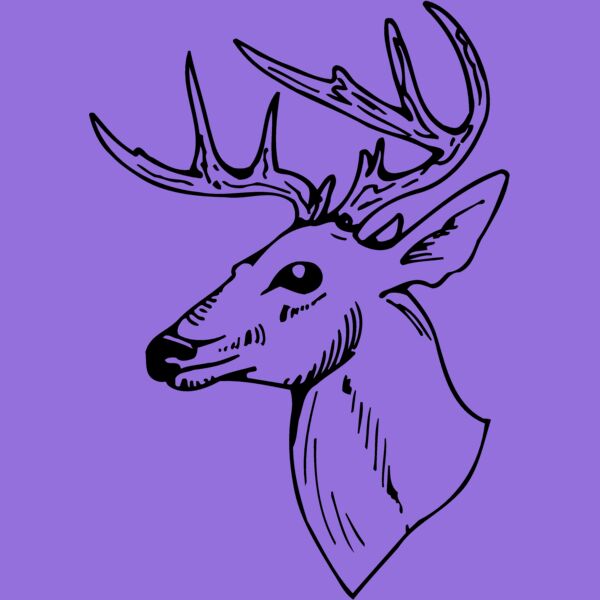 DEER018 Thumbnail