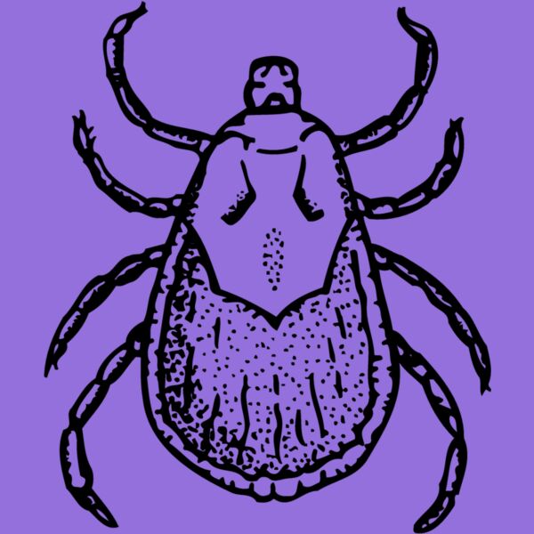 TICK Thumbnail