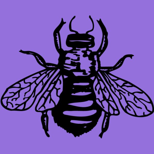 FLY01 Thumbnail