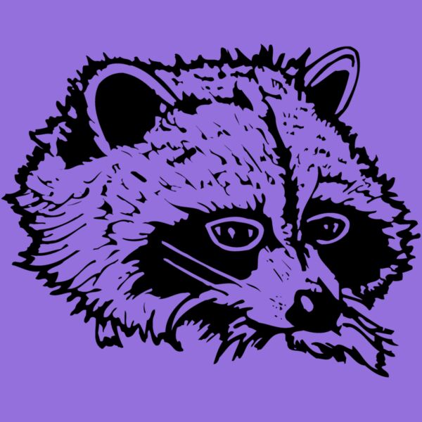 COON004 Thumbnail
