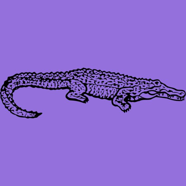 GATOR02 Thumbnail