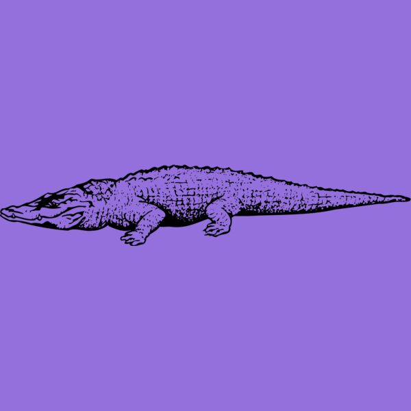 CROC03 Thumbnail