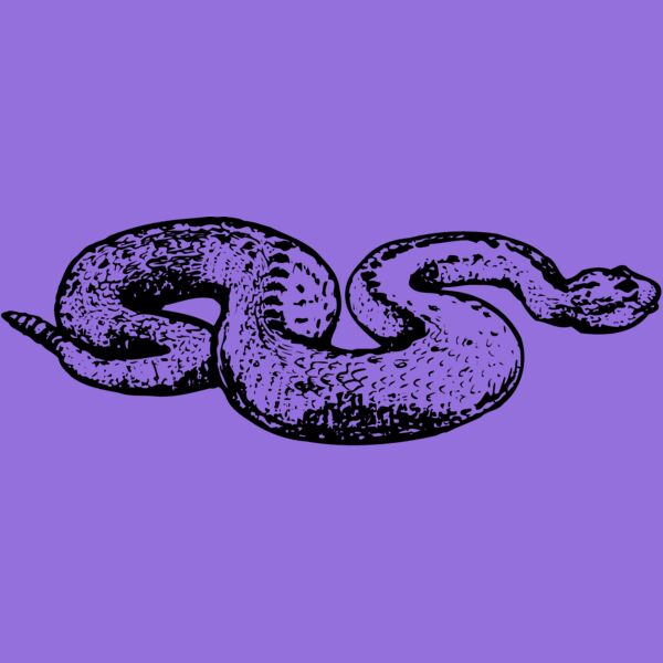 SNAKE018 Thumbnail