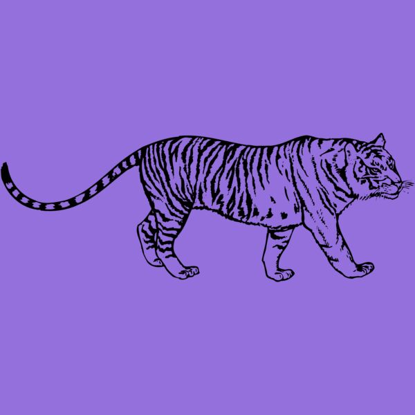 TIGER003 Thumbnail