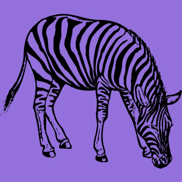 ZEBRA001 Thumbnail