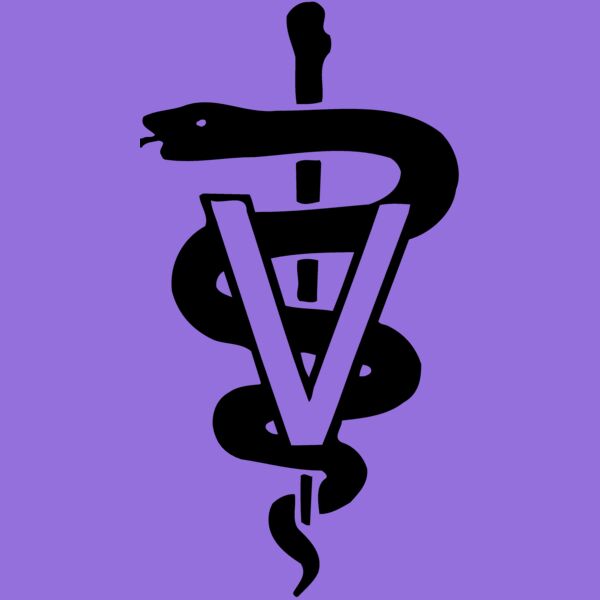 SM0013 Thumbnail