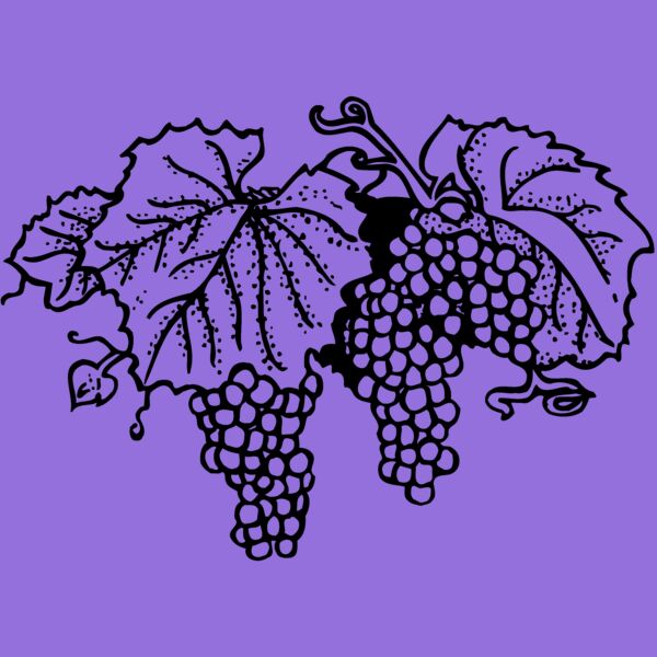 FRUIT005 Thumbnail