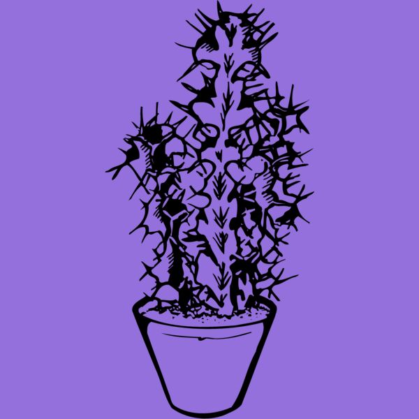 CACTUS04 Thumbnail