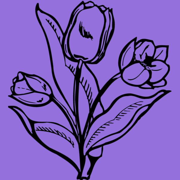 FLOWER24 Thumbnail