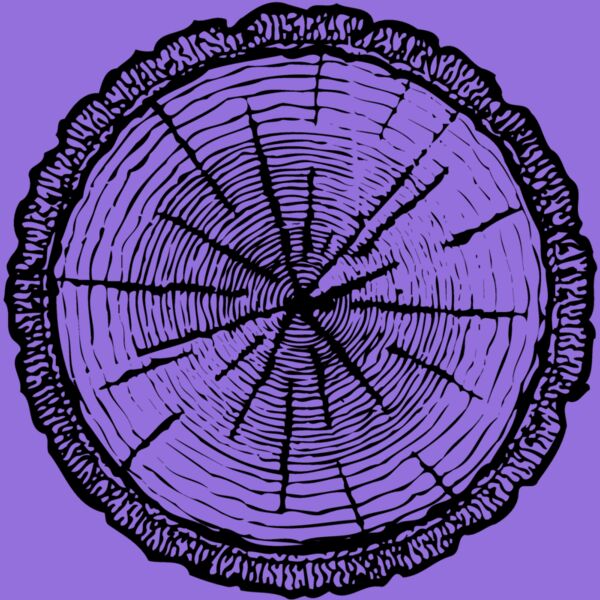 TIMBER04 Thumbnail