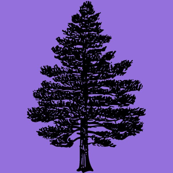 TREE0003 Thumbnail