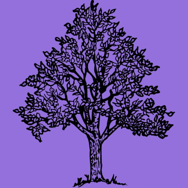 TREE0004 Thumbnail