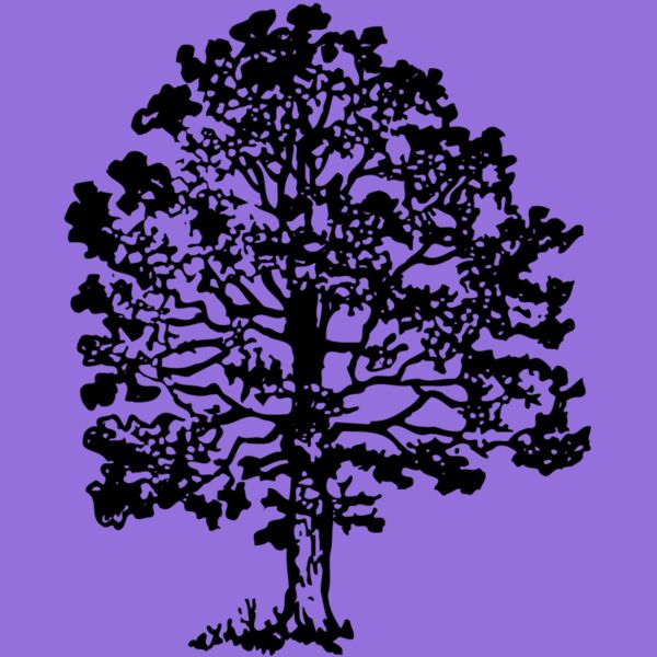 TREE0016 Thumbnail